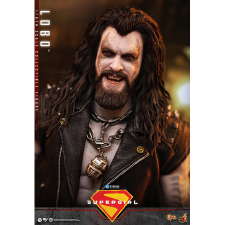 DC Lobo 1:6 Scale Collectible Figure Hot Toys MMS890 915708