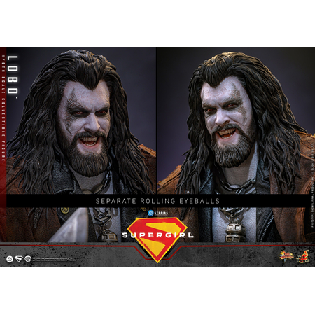 DC Lobo 1:6 Scale Collectible Figure Hot Toys MMS890 915708
