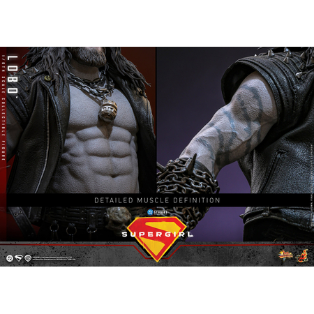 DC Lobo 1:6 Scale Collectible Figure Hot Toys MMS890 915708