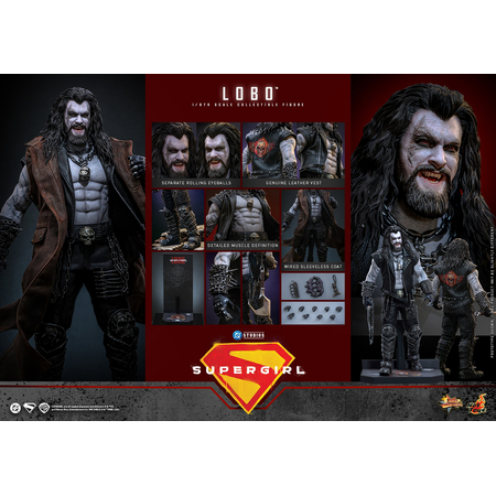 DC Lobo 1:6 Scale Collectible Figure Hot Toys MMS890 915708