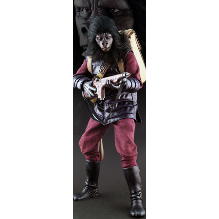 gorilla