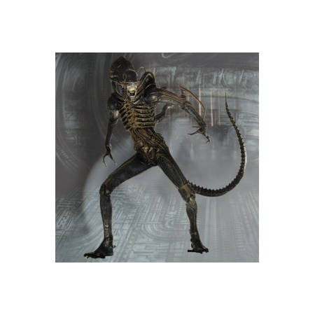 Aliens Warrior figurine 7 po NECA