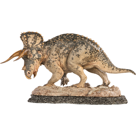 Triceratops