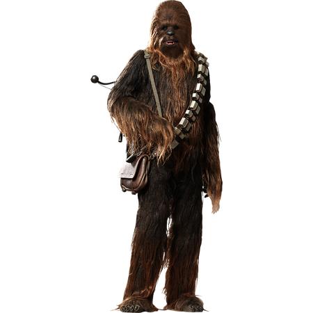 Chewbacca Chewbacca