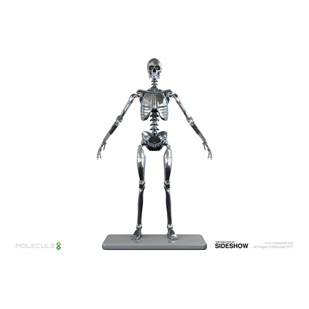 Mark I Endoskeleton figurine �chelle 1:6 Molecule8 903050