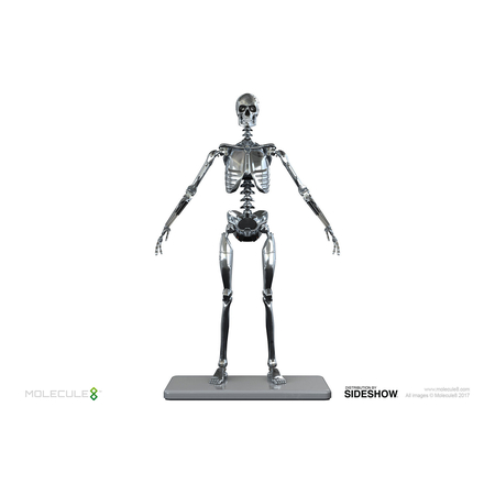 Mark I Endoskeleton figurine échelle 1:6 Molecule8 903050