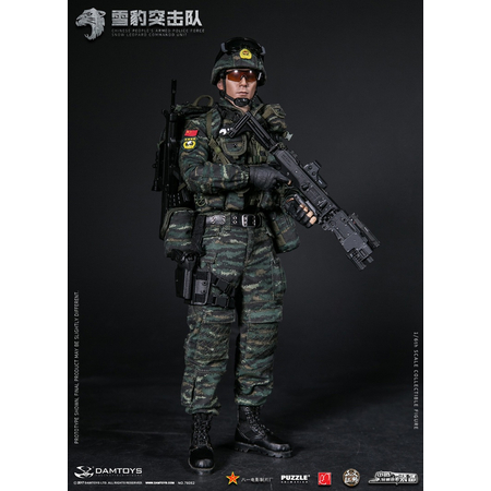 Chinese's People Armed Police Force Snow Leopard Commando Unit 1:6 figure Damtoys 78052