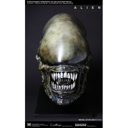 Alien: Covenant Xenomorph tête grandeur nature CoolProps 903191