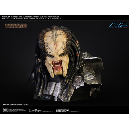 AVP: Alien vs Predator (2004) Scar Predator Prop Replica Buste grandeur nature �chelle 1:1 CoolProps 903453