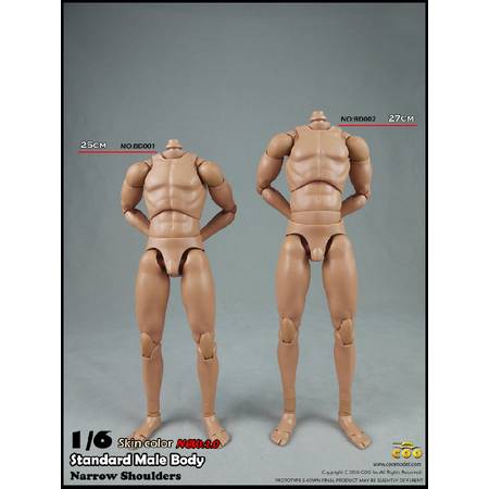 Corps masculin format r�gulier �chelle 1:6 New 2_0 COO Model BD001