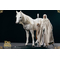 The Lord of the Rings - Gandalf the White 1:6 Scale Figure Asmus Collectible Toys 911480 LOTR003