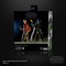 Star Wars : Le Livre de Boba Fett Ensemble de deux figurines échelle 6 pouces Cobb Vanth & Cad Bane Hasbro F8061