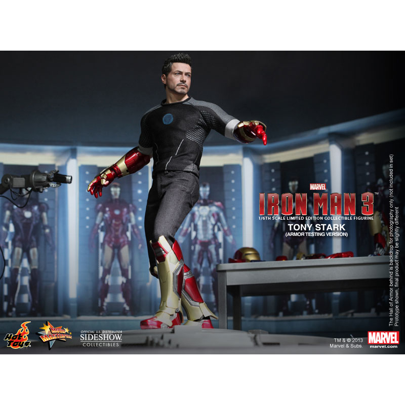 rose toy poodle Iron Man franchise - 1/6 & 1/4 figurines [Hot Toys] | Hi-Def Ninja - Pop  Culture