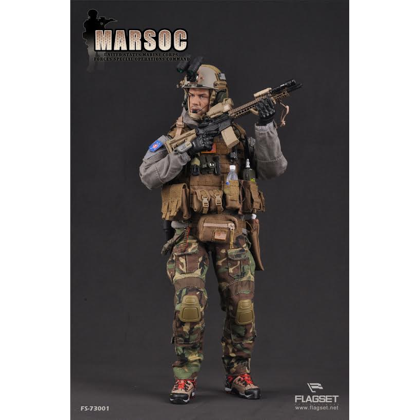 【新発売】今週の市販 Figure -  Action Command Operations Special Forces Corps Marine States United MARSOC scale FS-73001 FLAGSET by 1/6 ミリタリー
